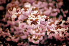 @tuszakowski_photography-LANDSCAPES-NATURE-STIL-IMPRESSIONS-27 @tuszakowski_photography-LANDSCAPES-NATURE-STIL-IMPRESSIONS-27