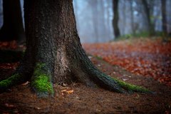 @tuszakowski_photography-LANDSCAPES-NATURE-STIL-IMPRESSIONS-34 @tuszakowski_photography-LANDSCAPES-NATURE-STIL-IMPRESSIONS-34