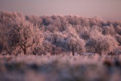 @tuszakowski_photography-Nature-IMAGE-LANDSCAPE-FineArt-1660